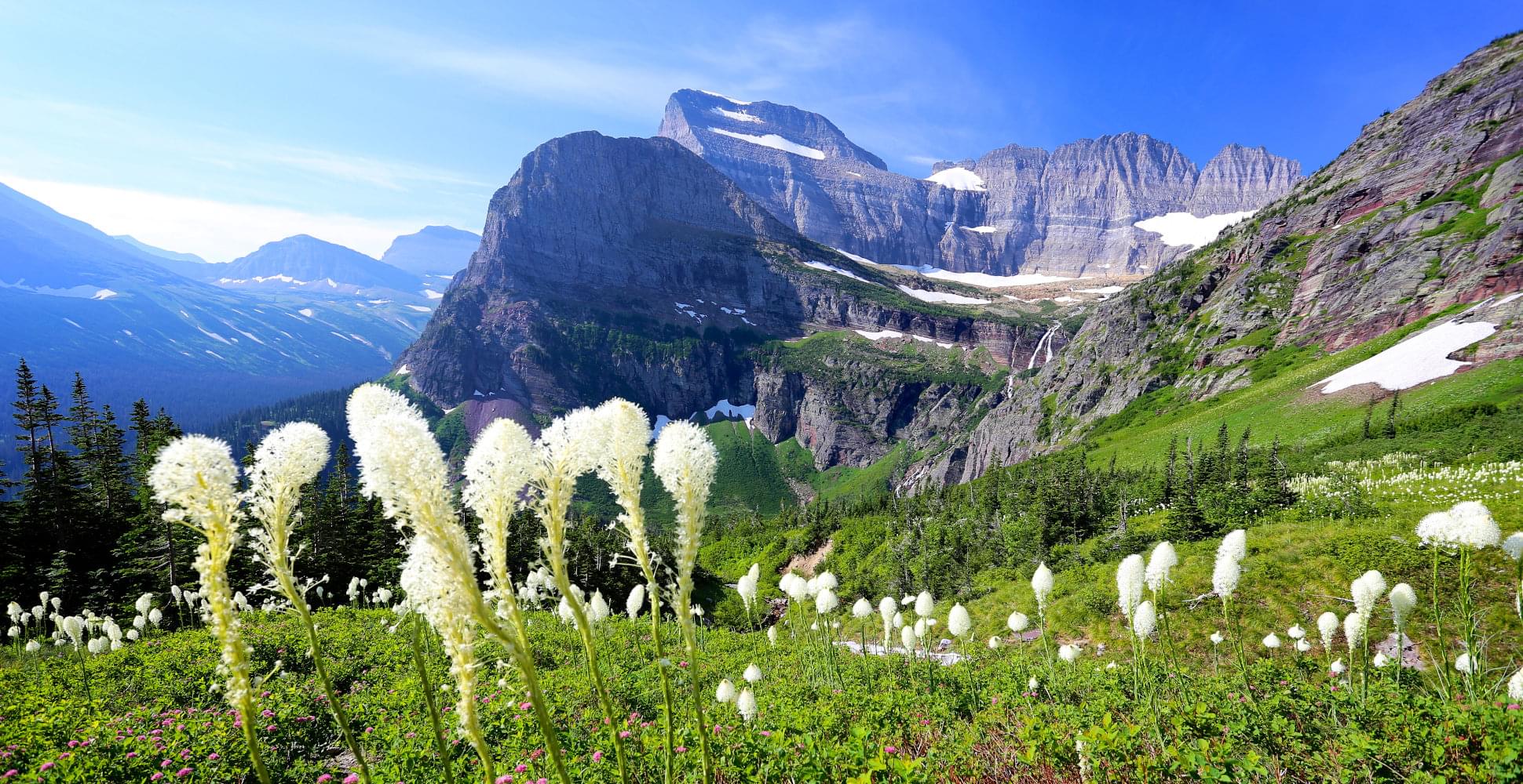  YELLOWSTONE AND GRAND TETON NATIONAL - Habibi World Travel & Tour America